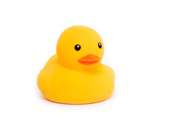 Rubber yellow Duck, Duckling Toy isolated on white Background