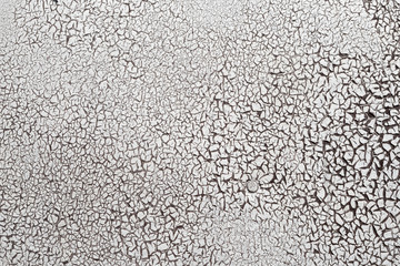 Cracked surface texture. Many small cracks on white paint. Old metal wall. Perfect for background and design.