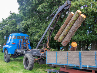 Timber and Lumber Vintage Truck with Crane