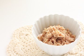Canned food, tuna fish 