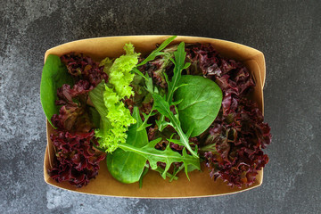 Healthy salad, leaves mix salad (mix micro greens, cucumber, tomato, onion, other ingredients)....
