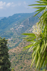 aerial view of the mountains