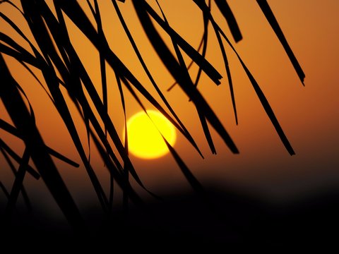 Sonnenaufgang am Meer