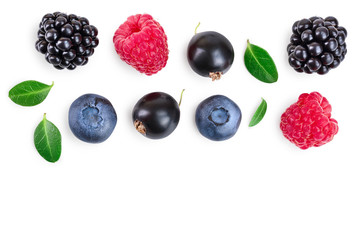 blackberry blueberry raspberry black currant isolated on white background with copy space for your text. Top view. Flat lay pattern