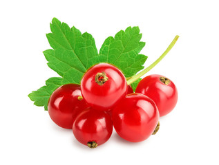 Red currant berries with leaf isolated on white background