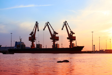 Gantry crane and cargo ship in the evening