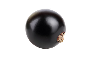 One black currant isolated on white background