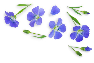 flax flowers or Linum usitatissimum on a white background with copy space for your text. Top view, flat lay