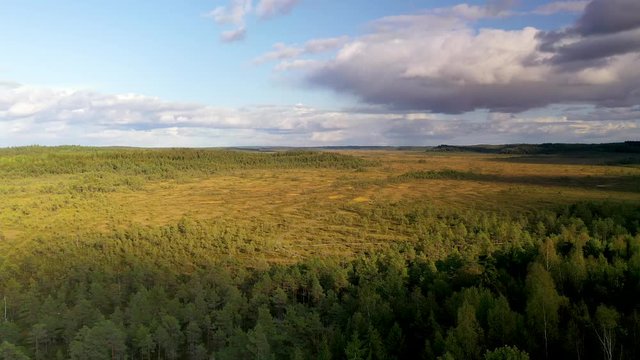 Deepest swamp area of Finland at Torronsuo National Park captured with a drone as aerial view