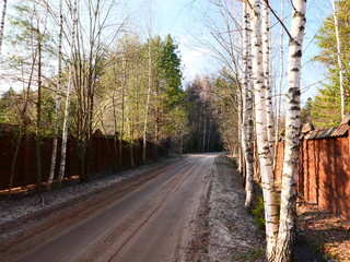 road in the forest