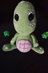 turtle on black background