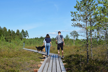 Fototapeta na wymiar Group of family people walking on wooden pathway in forest in summer day outdoors, back view. Active healthy lifestyle and recreation concept. 