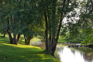 Fototapeta na wymiar river in the Park