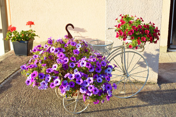 White decorative retro vintage bicycle model with metalic wheels and basket flowers garden. Summer...