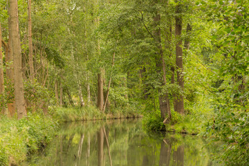 Wasserkanal im Spreewald 