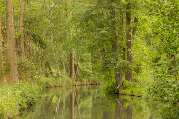 Wasserkanal im Spreewald 