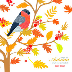 invitation card with cute bullfinch in fable forest for your des
