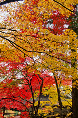 Scenery of around Nanzenji-temple in Kyoto,Japan.