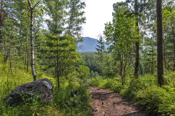 landscape in Altai mountains