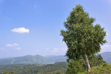 landscape in Altai mountains