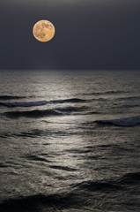 Fototapeta na wymiar Full moon at the seashore