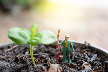 Miniature figures with planting tree ,Environment concept