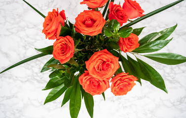 Red roses