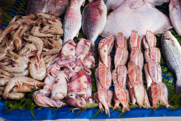 Fresh raw fish on the counter of the street market.