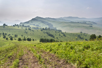 landscape in Altai mountains