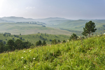 Naklejka premium landscape in Altai mountains