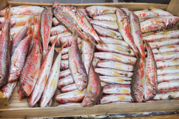 Fresh raw fish on the counter of the street market.