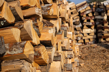 Pile of firewood. Preparation of firewood for the winter.