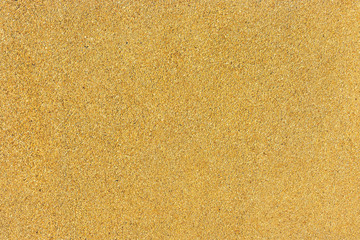 Gold slate background or texture