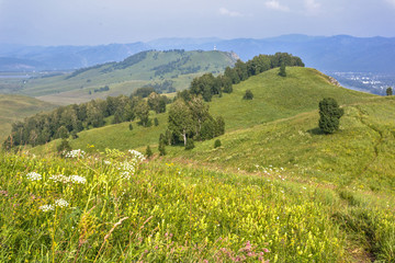 landscape in Altai mountains