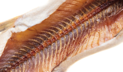 Salty fish pike on a white background