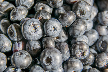 Huckleberry close-up. Blueberry in a bowl in the kitchen