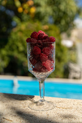 Raspberry and pool