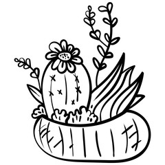 Obraz premium Cactus in a flower pot. Botanical illustration for coloring. Coloring for children and adults - Vector