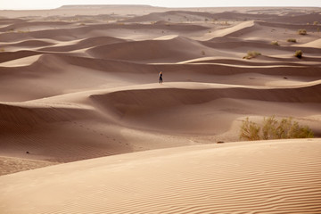 Les magnifiques dune de sable du désert Iranien