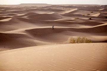 Les magnifiques dune de sable du désert Iranien