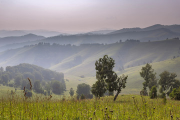 landscape in Altai mountains