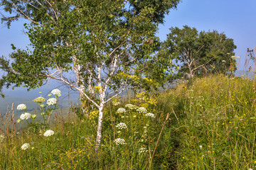 landscape in Altai mountains
