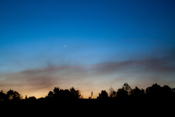 Fototapeta na wymiar Sunset with a silhouette of the tree line