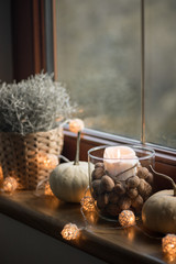 autumn cosy pumpkin, candles and autumn plants on window with led lights bokeh