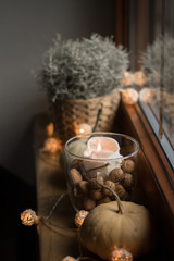 autumn cosy pumpkin, candles and autumn plants on window with led lights bokeh