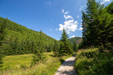 Fototapeta na wymiar Jaworzynka Valley in Tatra mountains. Poland.