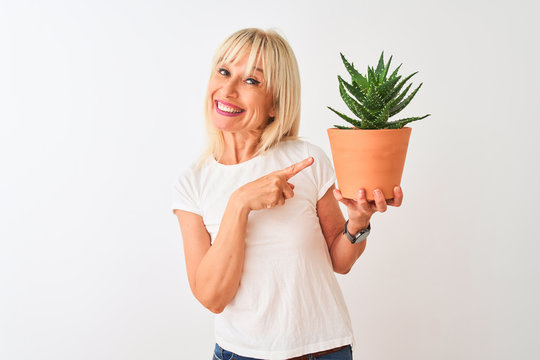 Middle age woman holding cactus pot standing over isolated white background very happy pointing with hand and finger