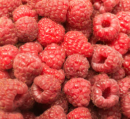 Fresh organic berries raspberry. Fruit background.