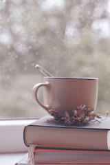 mug of tea on pile of books and window with raindrops on background