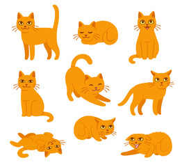 Cartoon cat poses set - obrazy, fototapety, plakaty